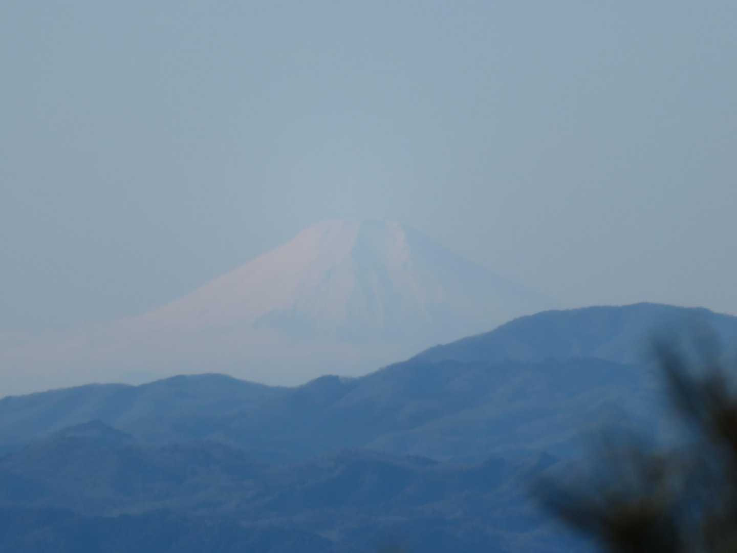 真っ白
