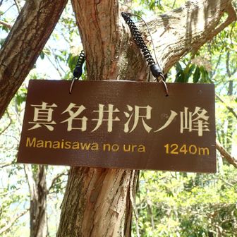 真名井沢ノ峰まで来たけどシロヤシオ💮は見つかりません。
このまま赤杭尾根を降りたいけど、荏ノ久保山に降りないと。