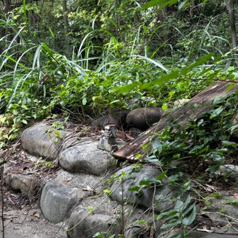 7座目朝日山
眺望ないが小さなお城が🏯