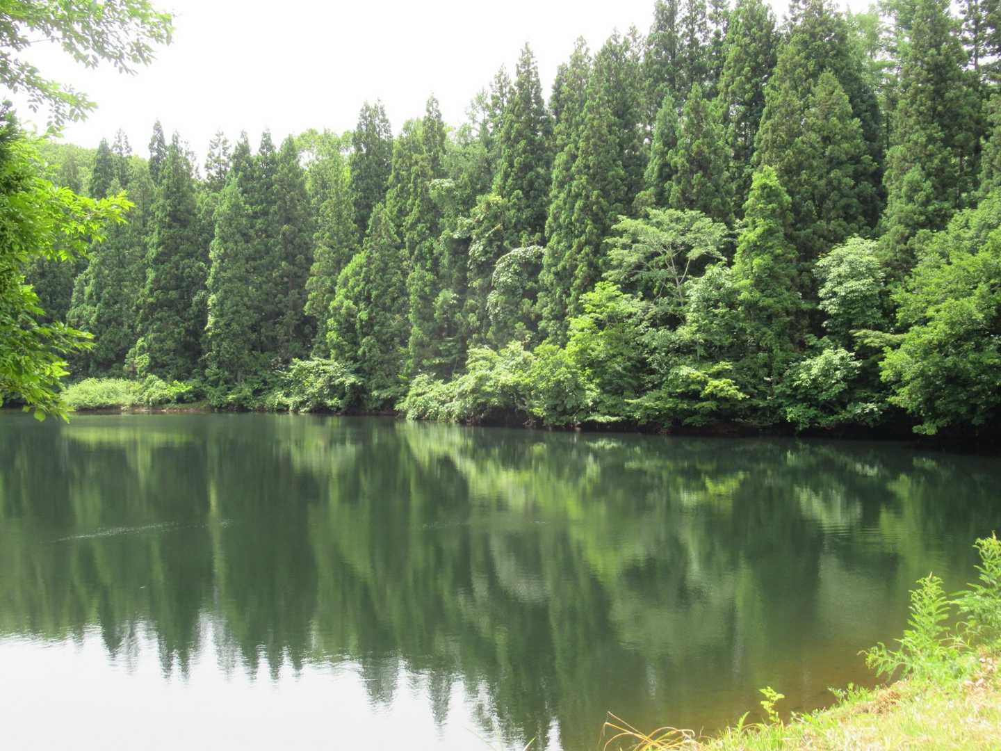 神秘的

紅葉したら綺麗だろうね