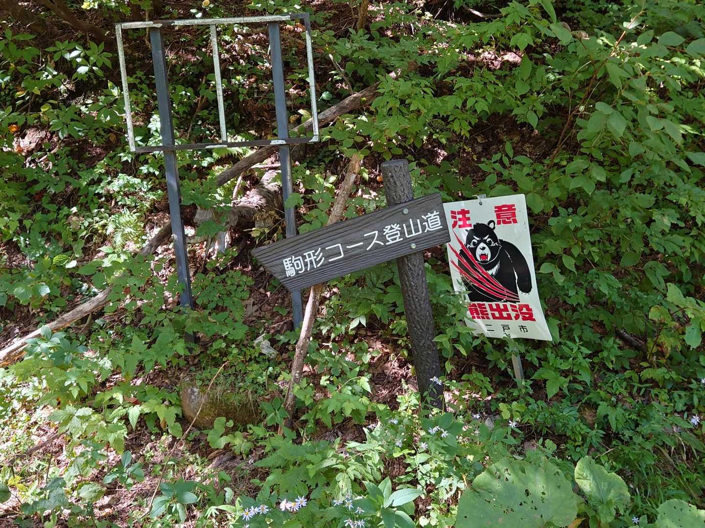 🐻こわい😖