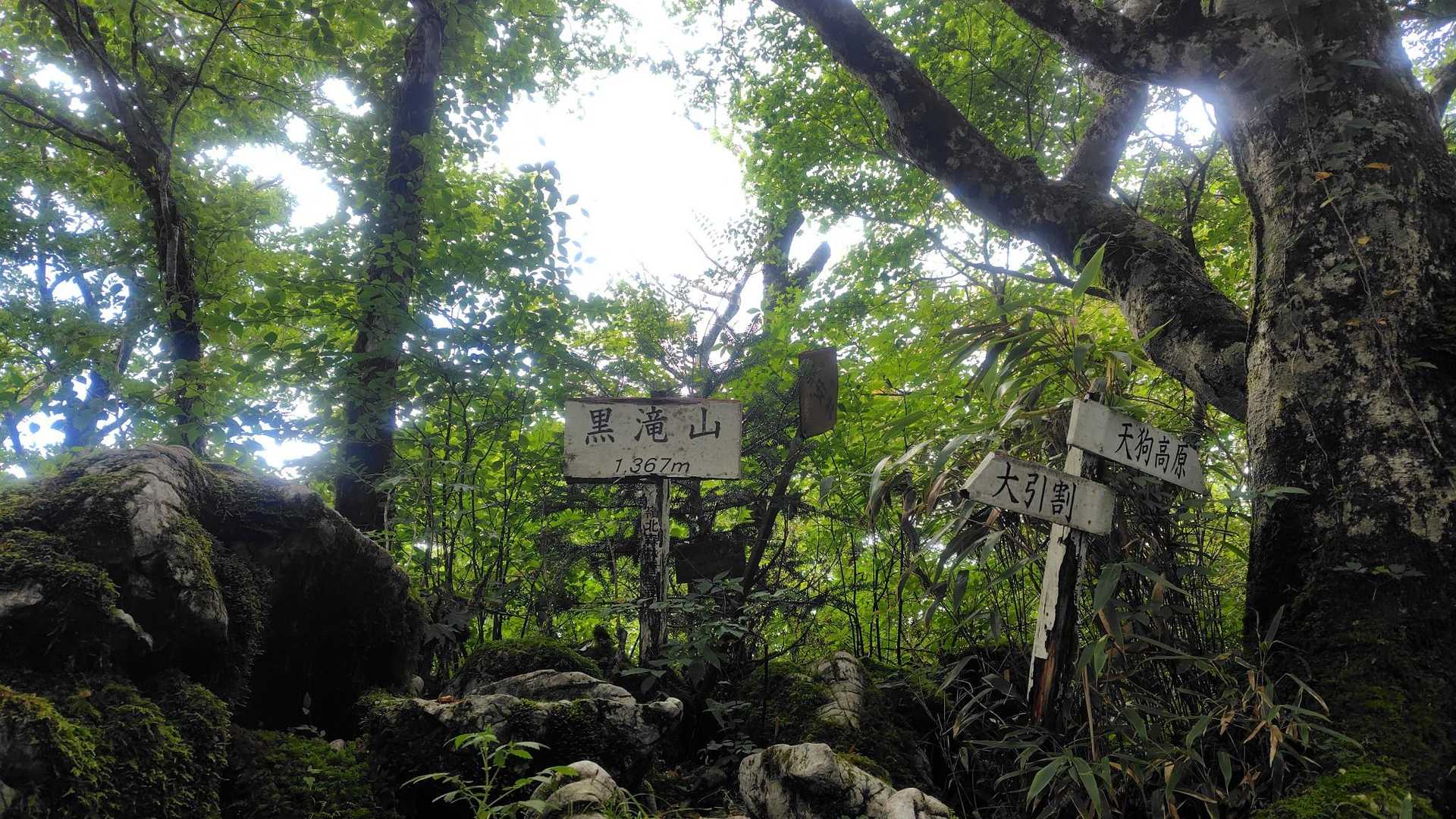 山頂はなんにもありません