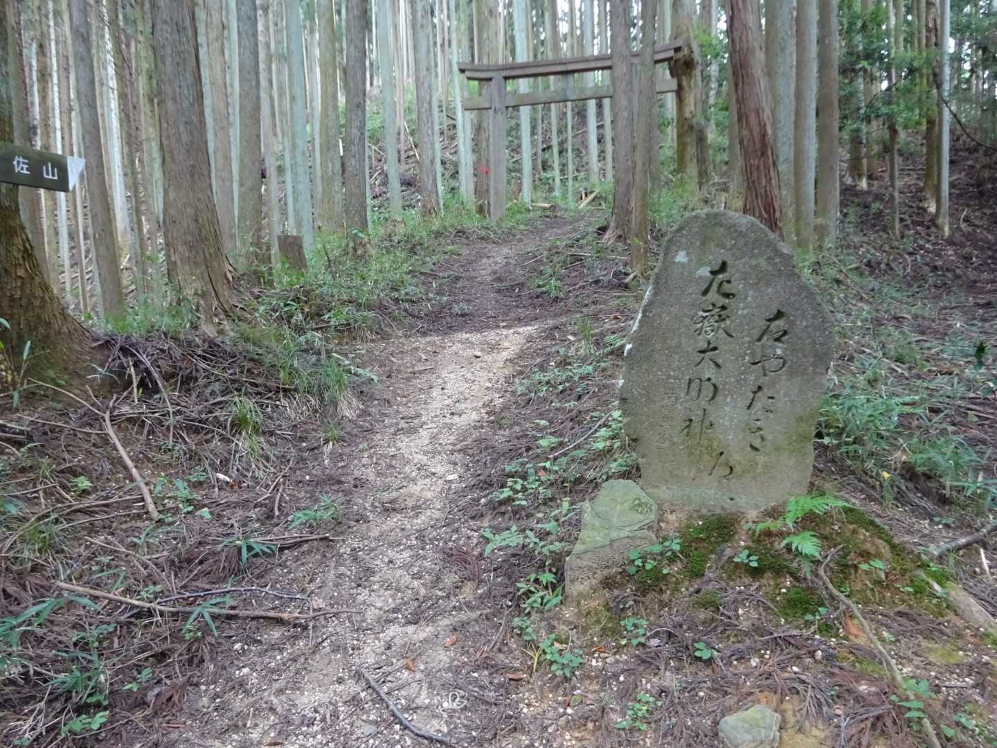 伊那佐山 往復コースの写真