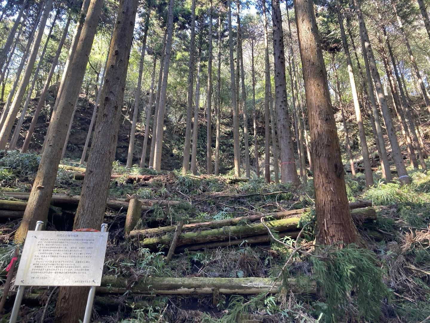 なるほど🧐