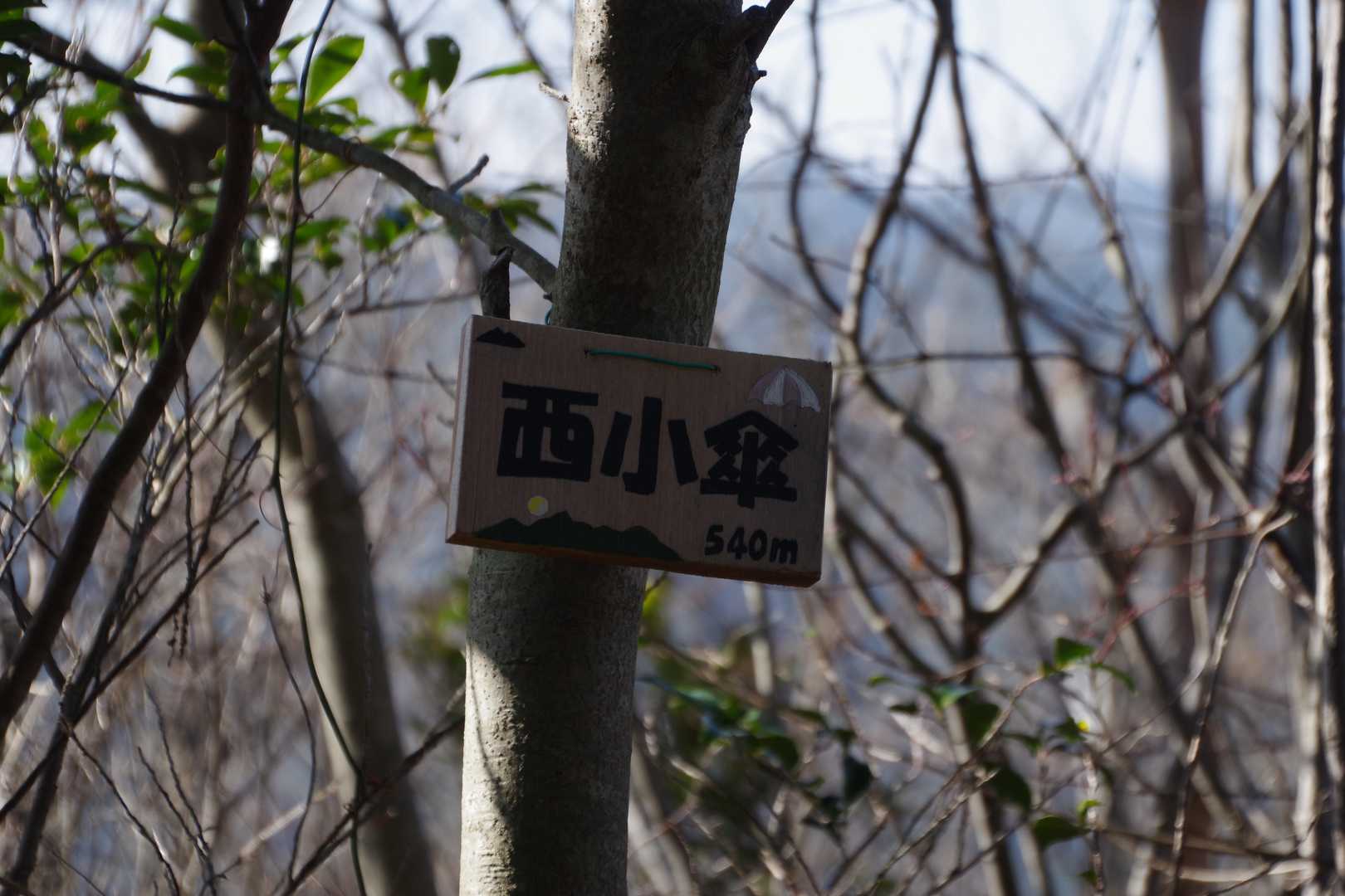 西小傘山頂☂️
ピークっぽくないけど…