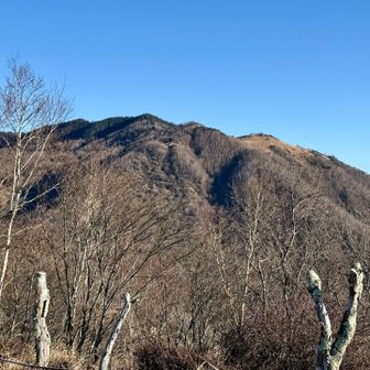 湯ノ沢峠の向こうの白谷ノ丸