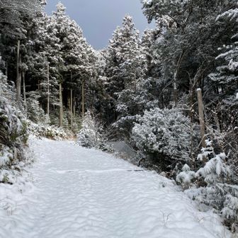 もう少しで山頂だ。