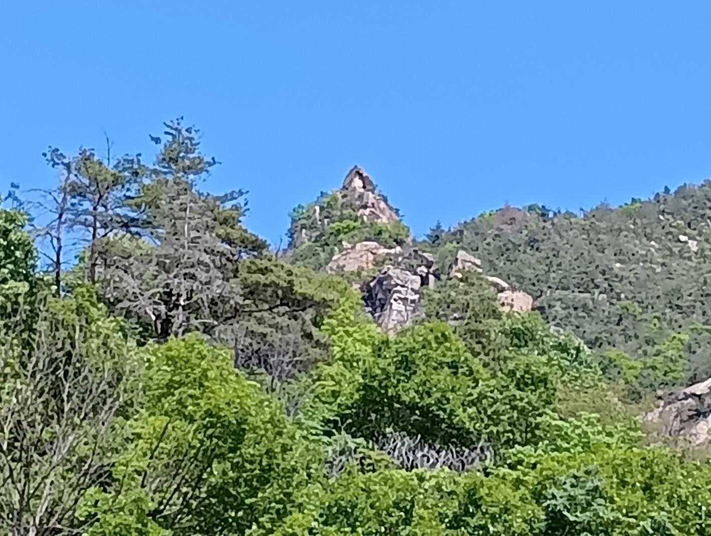 ふもとから見た、烏帽子岩