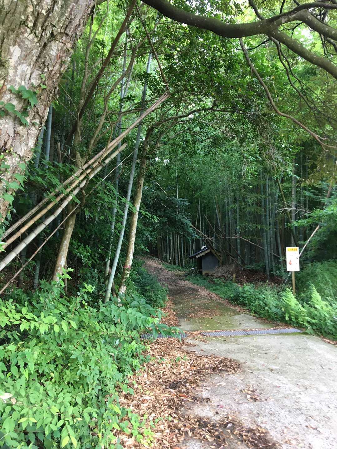 おじゃましまーす