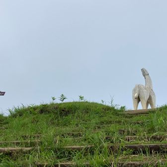 山頂は曇りというかこんなで眺望なし