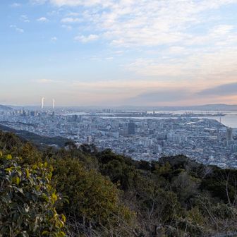 晴れてくれたらいいなぁ