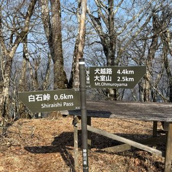 加入道山到着！
ベンチがいっぱいで広い山頂でした