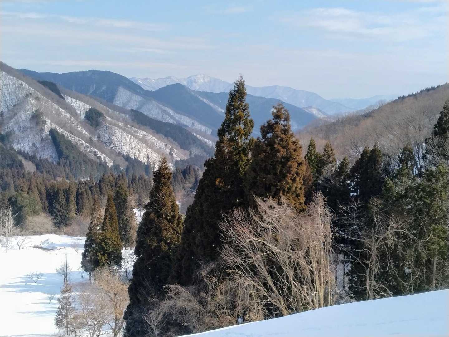 貝月山第一リフト登山口-小貝月山 往復コースの写真