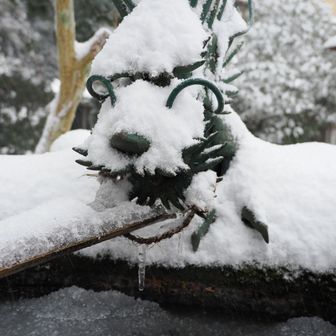 手水も少し凍ってる
