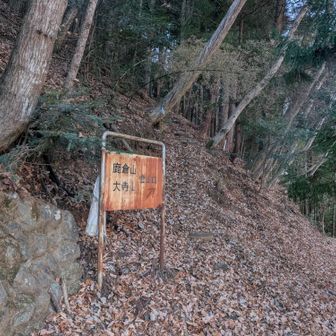 本来はここから降りてくる予定だったけど、うん、やめといてよかったw