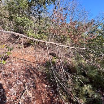 なんかに似てると思ったらアレだ

市民プールとかにある、浴びないと進めない冷たいシャワー🚿