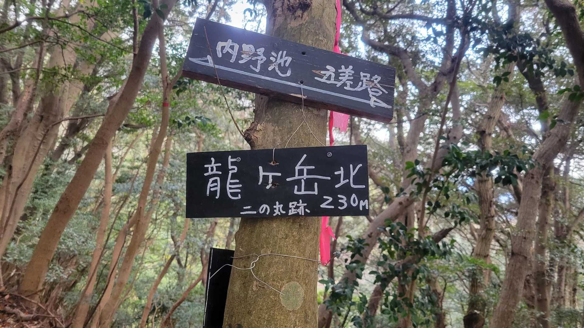 ⑫