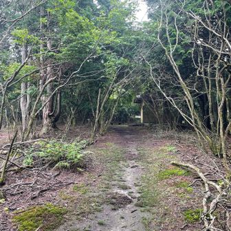 山頂着きましたが人が多かったので
ひとまずスルーして富士見峠へ。