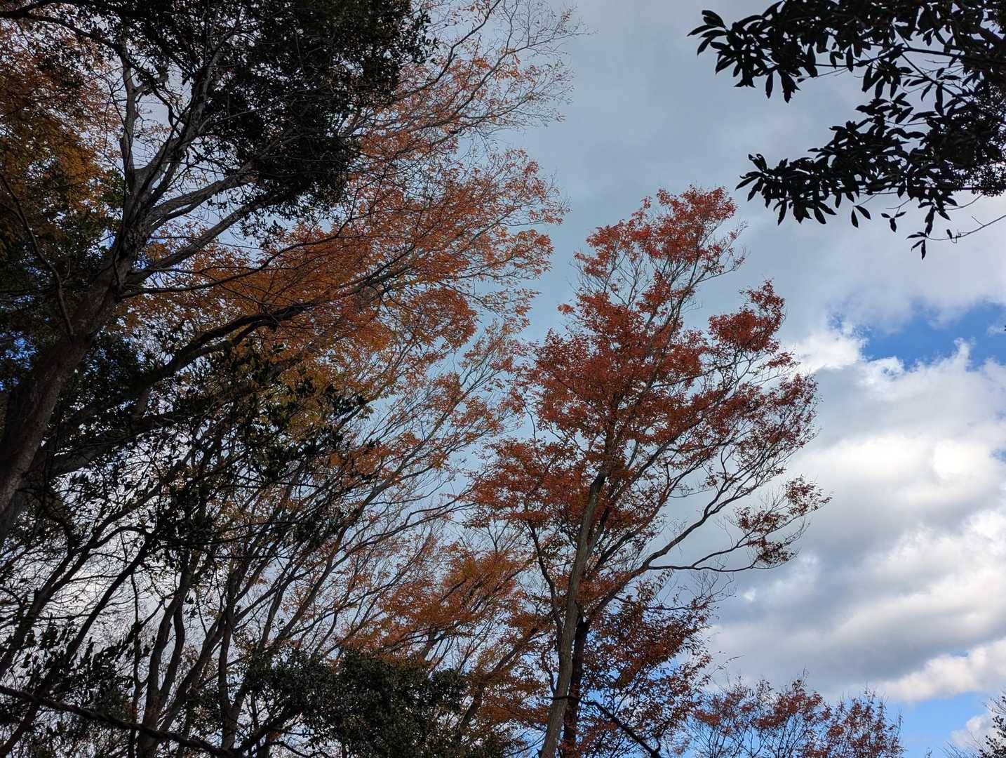 食後のスイーツもしっかり食べて、次は大天井ヶ岳だー