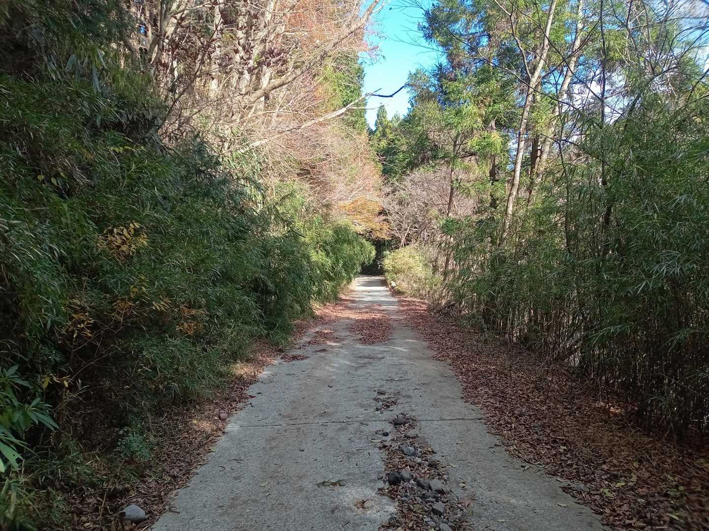 川を渡った後は、舗装路に変わります😊