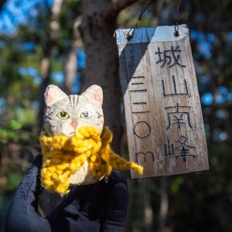 網代弁天山・網代城山 南峯到着