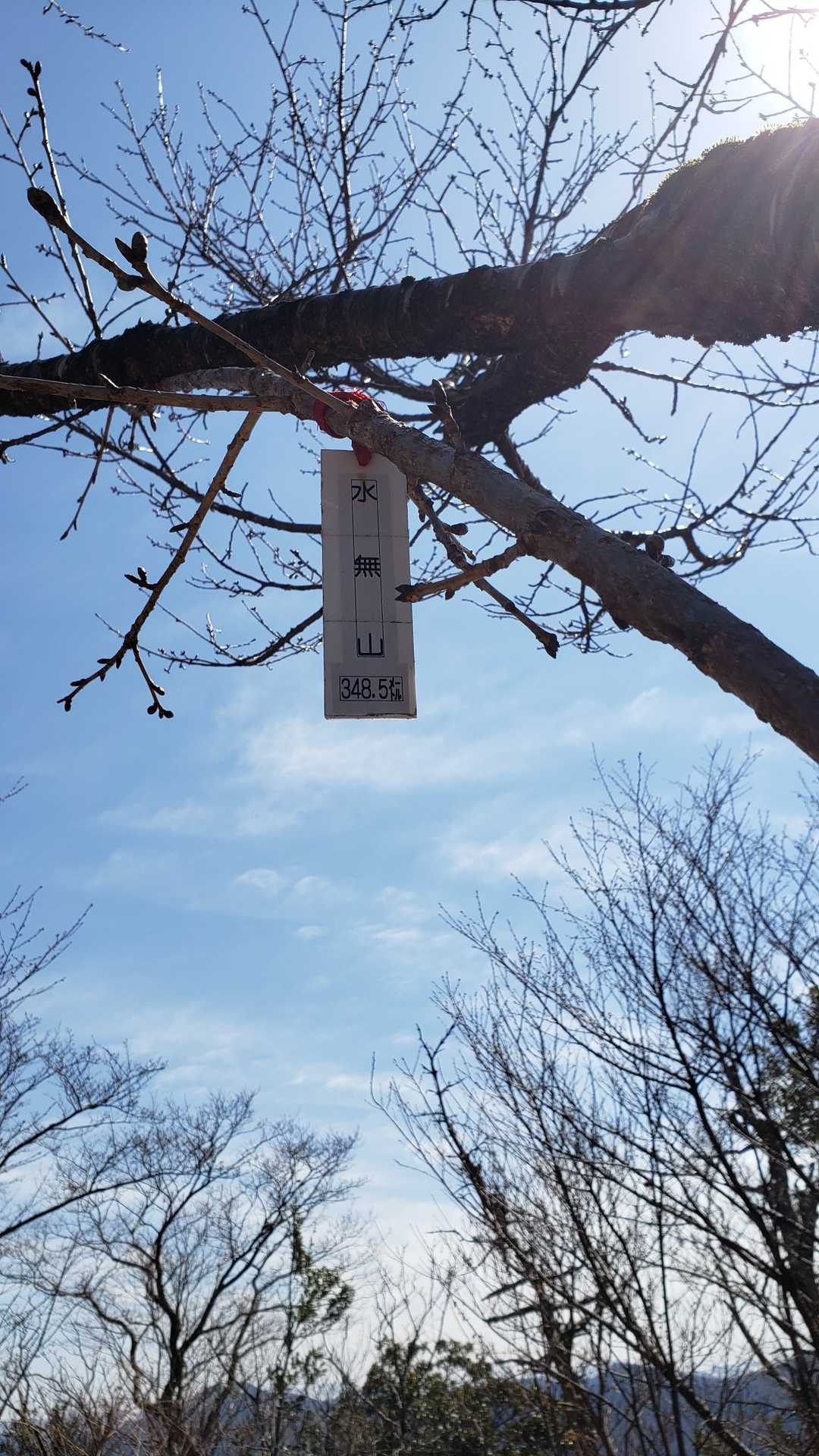 水無山（石川県）の写真