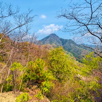 
本日メインのお山【明神山】が まだ遠くに
