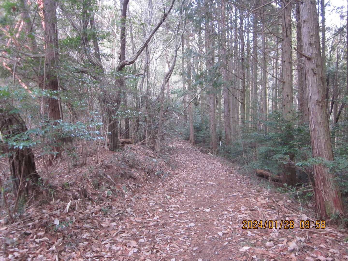木野山神社-木野山 往復コースの写真