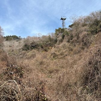 六甲山・長峰山・摩耶山 少し視界が開けるが、ここからの薮が酷い