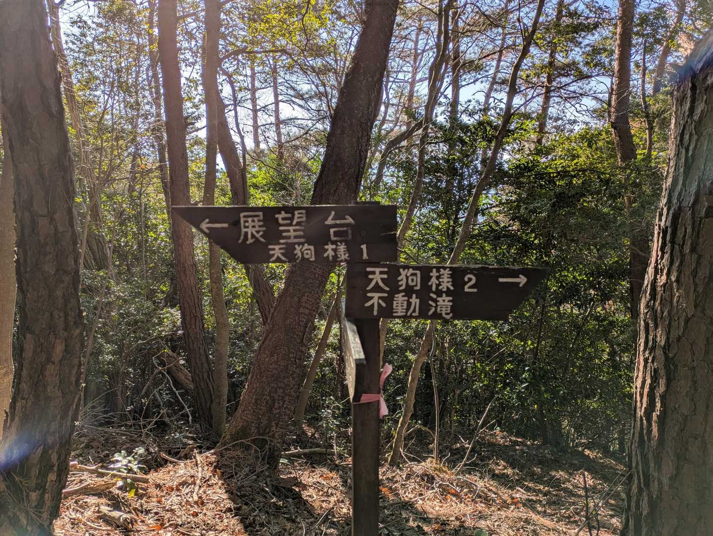 天狗様👺を探しに行きます💪