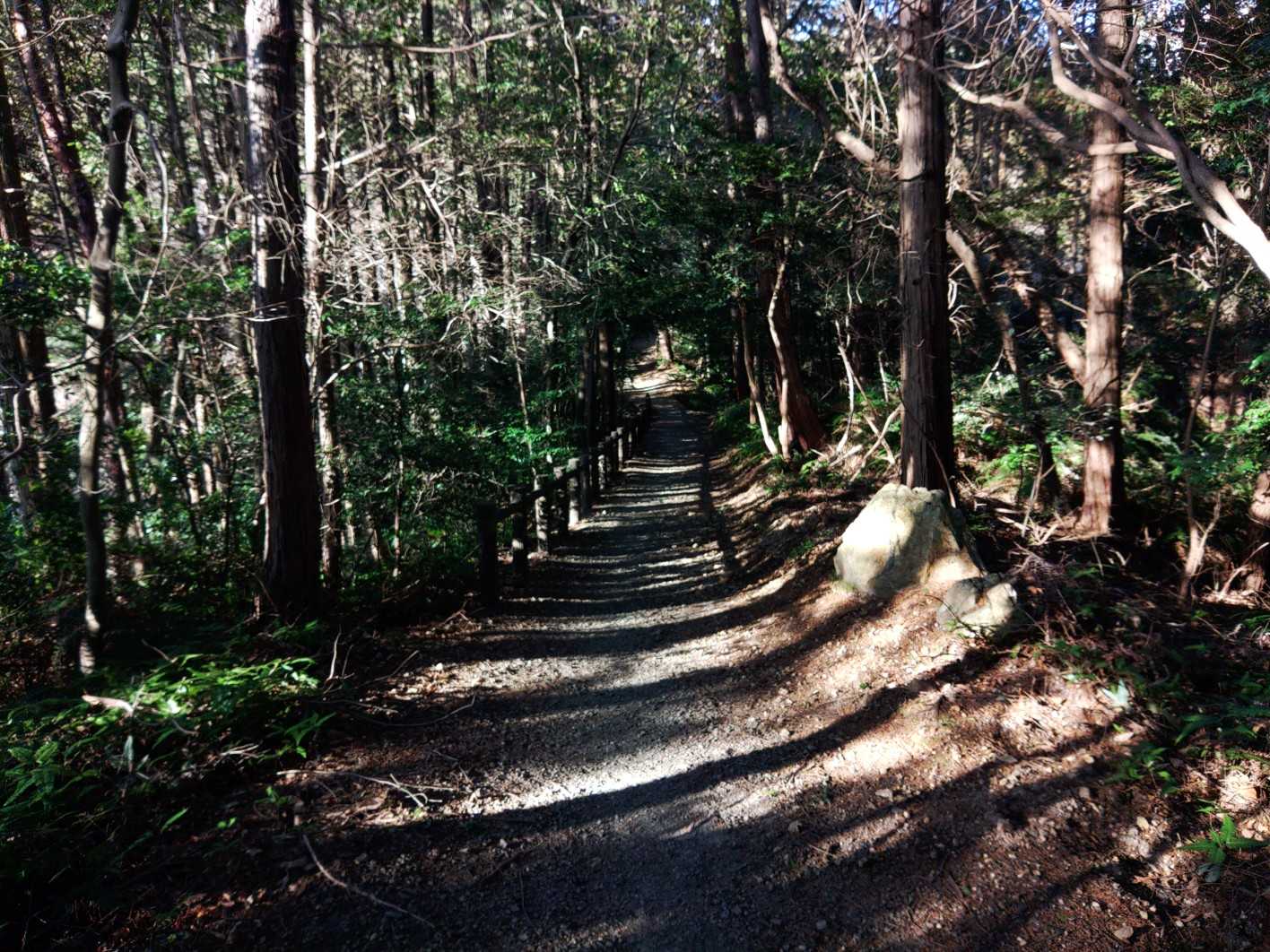 尾張白山 周回コースの写真