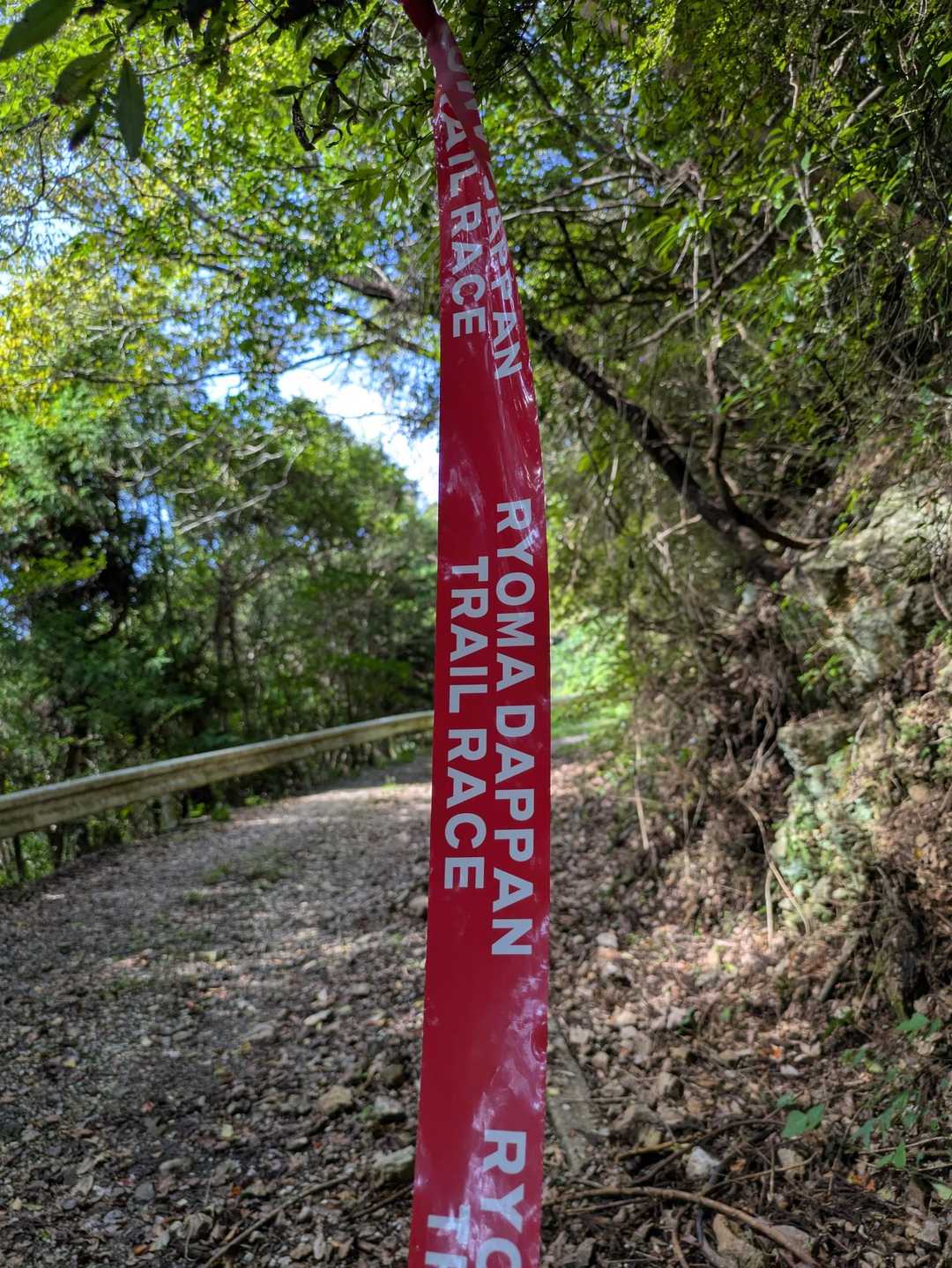 「RYOMA DAPPAN TRAIL RACE」
林道に出たところで、この目印が各所に。ここは龍馬脱藩トレイルのコースだったんでしょうか？