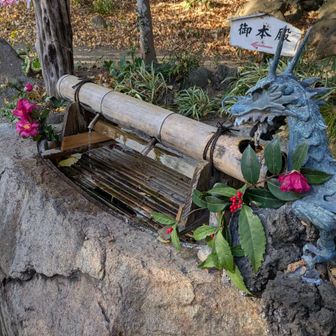 葛原岡神社周辺を散策