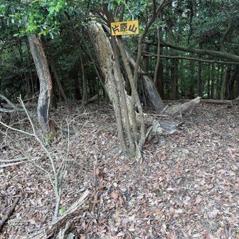 片岡山