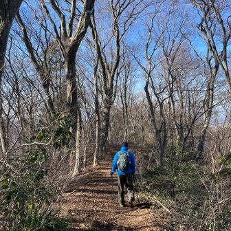 今回は16番の「メインルート」なる登山道から下山です