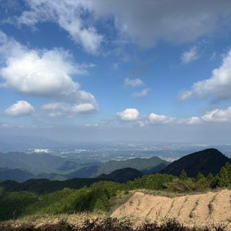 草刈機を持った方が遠くに
斜面が綺麗に刈られて草の良い香りが