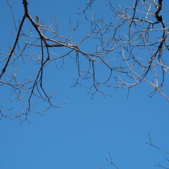 紅葉終わってます😅