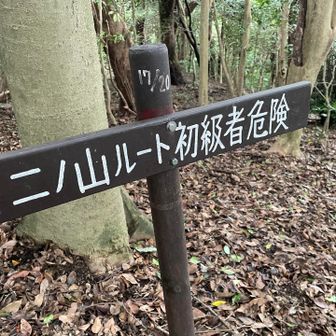 ニノ山ルートは、厳しいらしいです。