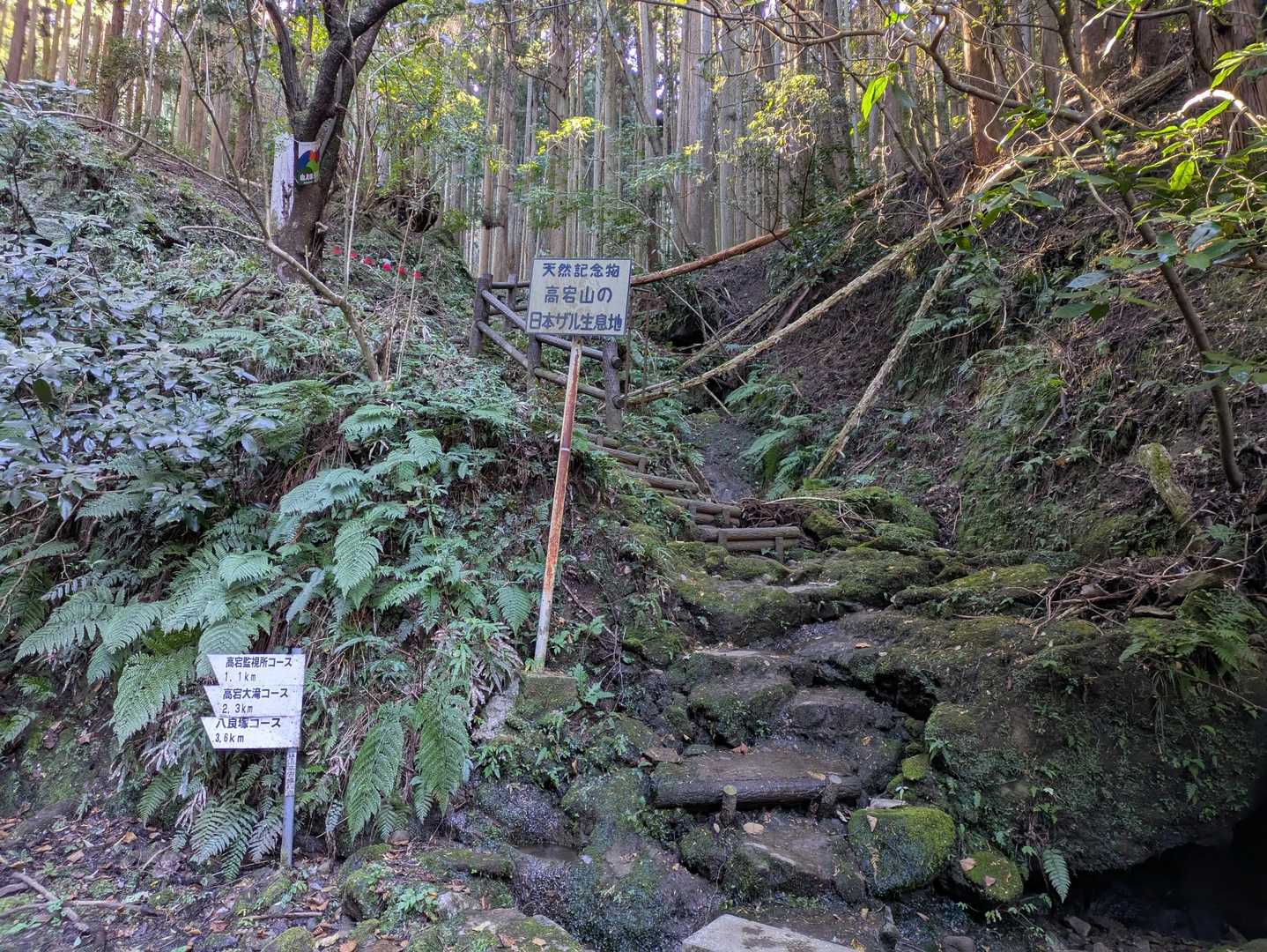 石射太郎山登山口-石射太郎-高宕観音堂 往復コースの写真