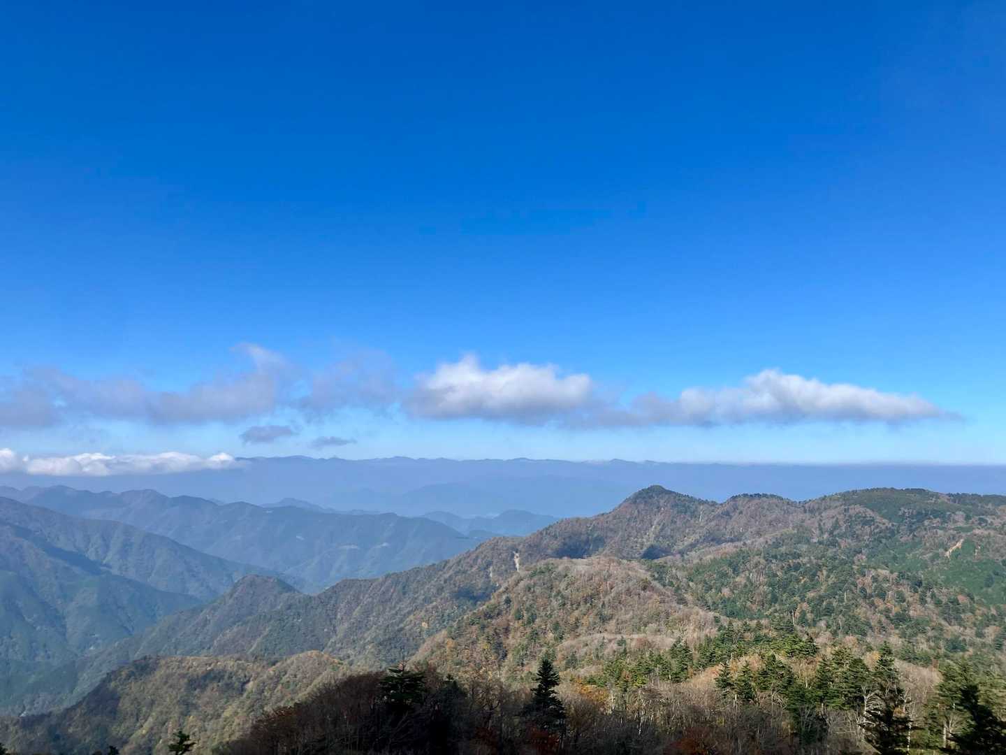 こんなに良い天気なのに