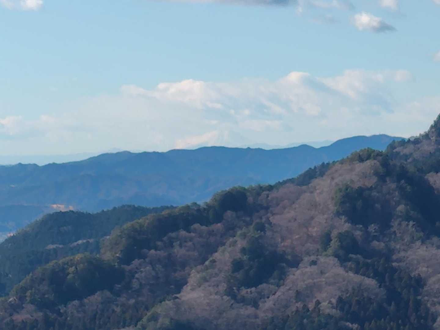 富士山🗻も見えました