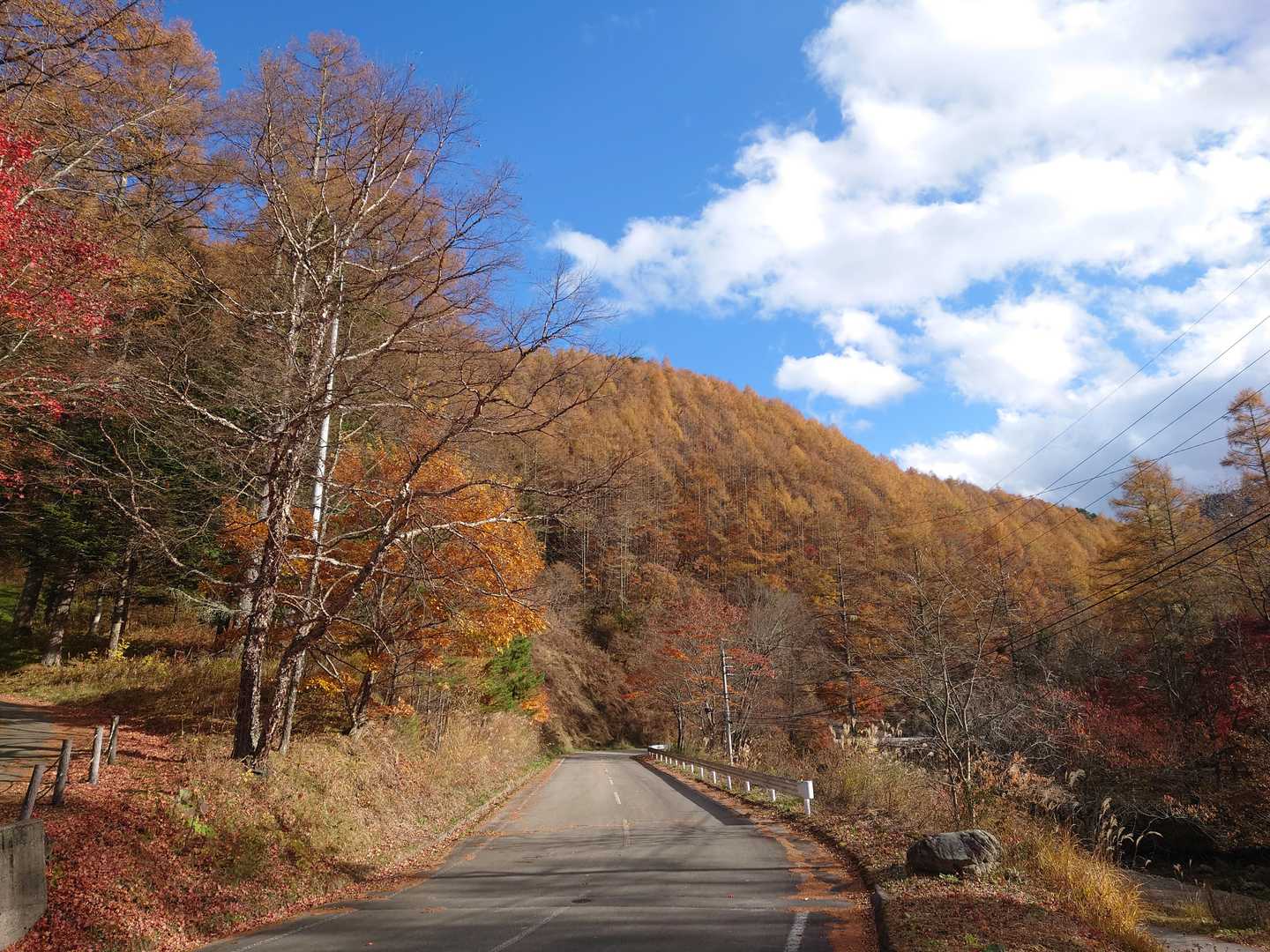長者の森コース登山口-前衛峰-御座山 往復コースの写真