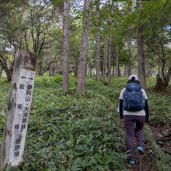 かえらずのハチ(長野滞在中)と茅野駅で合流。
長野の登頂数が関西の山々を押さえて上位に食い込んできたらしい

槍ヶ岳下山して、又山行くんか??
現に夫達はそれぞれ現実に戻って仕事に追われているのに、必ずYAMAPの見守り機能で見守ってくれており「気をつけて」「着きましたね」の文字には感謝しかありません。
私達に出来る事は必ず元気に戻る事。