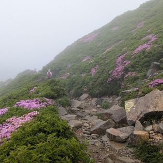 きっと素晴らしい山なんだろう