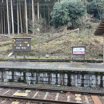 間に合った！この後きた電車は座席が横向きの観光列車でした💺
お疲れニャンコ🐈