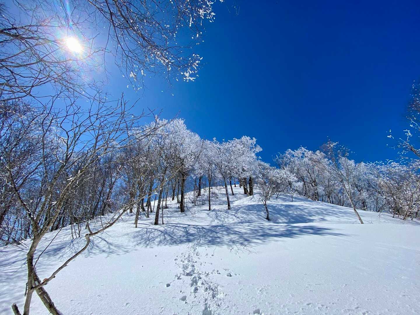 山頂では天涯孤独の天蓋ブルーを満喫♪

戻りにYAMAP平で能登からお越しのパイセン2名 とお話し！
今週土曜にボランティア行きます♪
とお別れ 大満足の山行き終了🙋🏻‍♂️