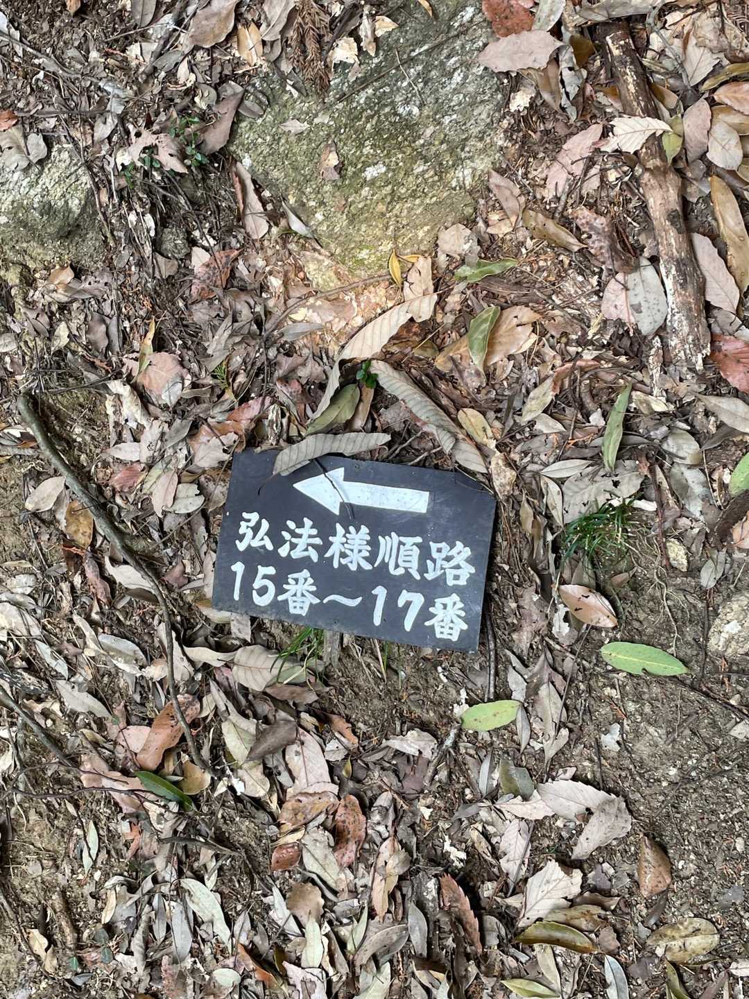 沢山ありすぎて、お参りも面倒くさいかな😅