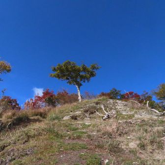 青空に🍁