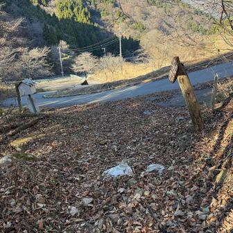 登山口に戻ってきた