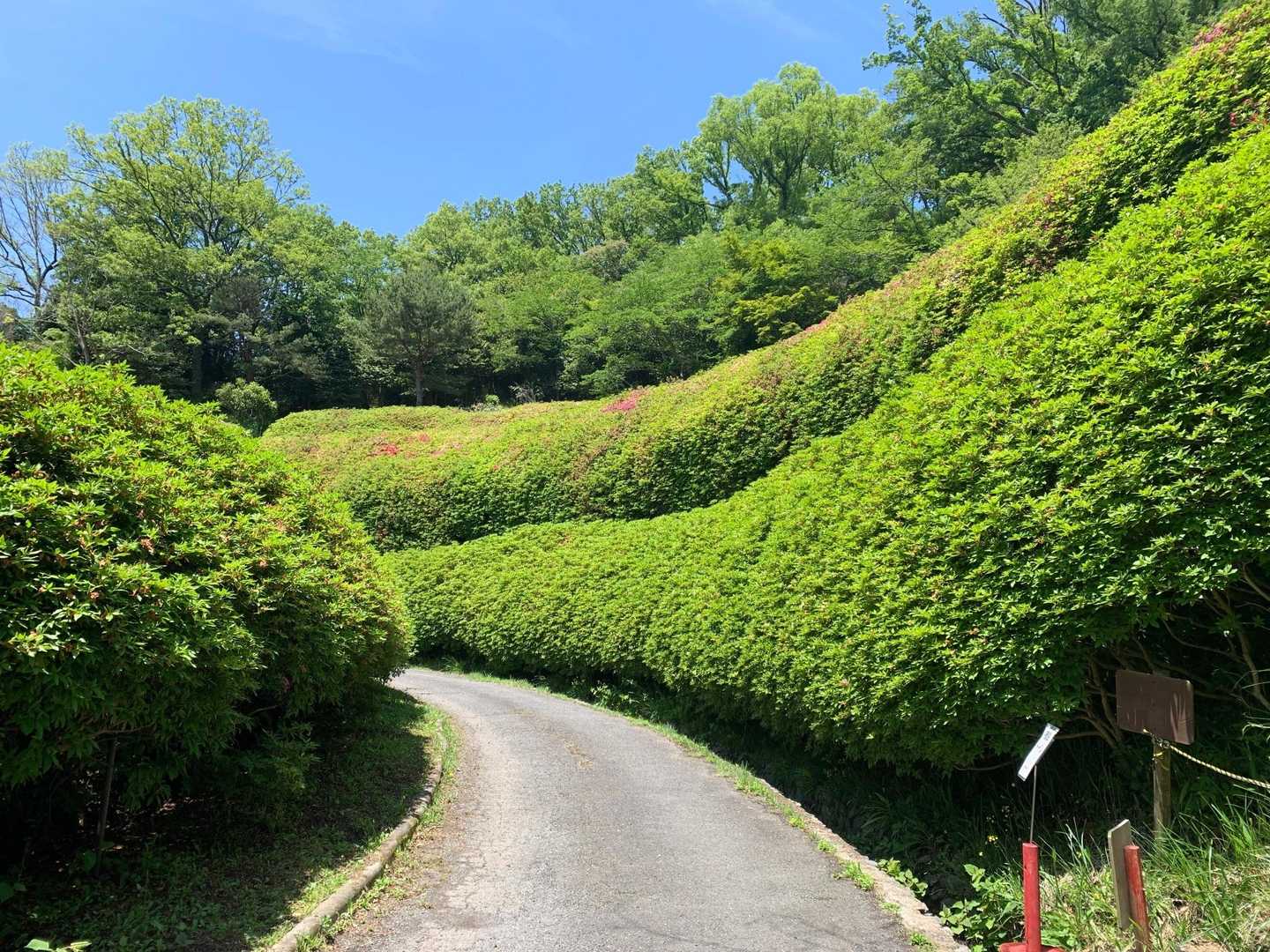 神津嶽ふれあい広場-客坊大橋登山口 周回コースの写真